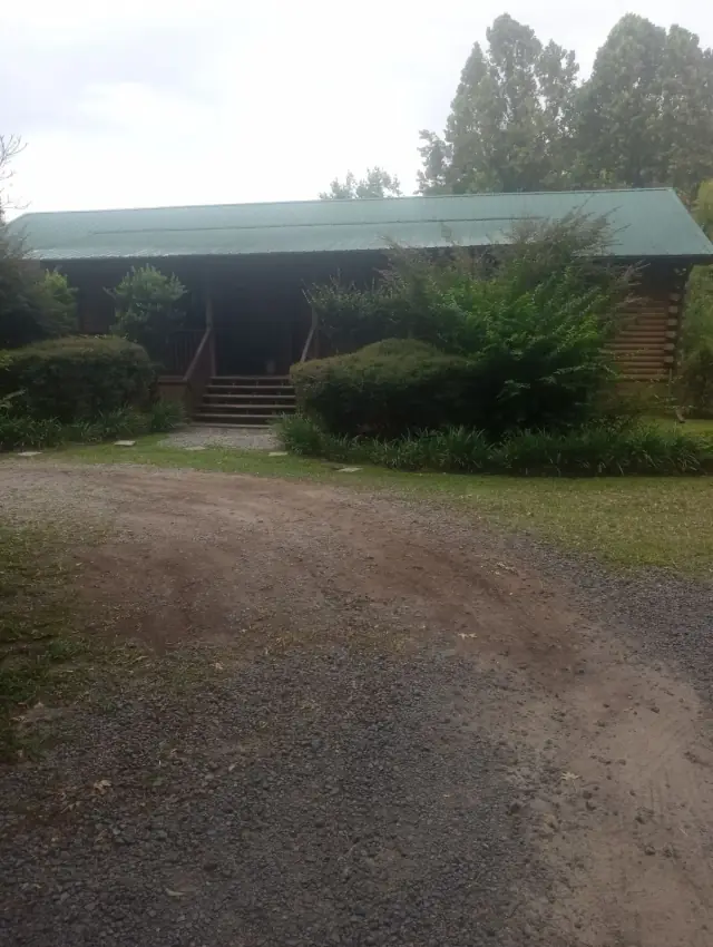 Gravel drive leading up to a Still Worthy log cabin